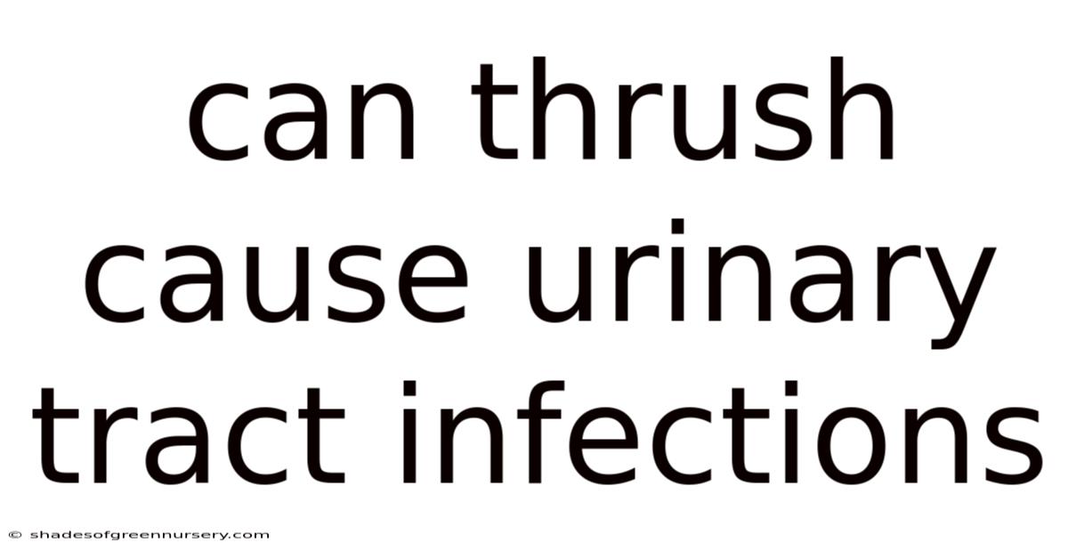 Can Thrush Cause Urinary Tract Infections