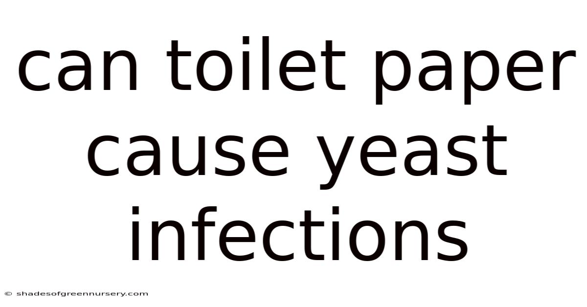 Can Toilet Paper Cause Yeast Infections