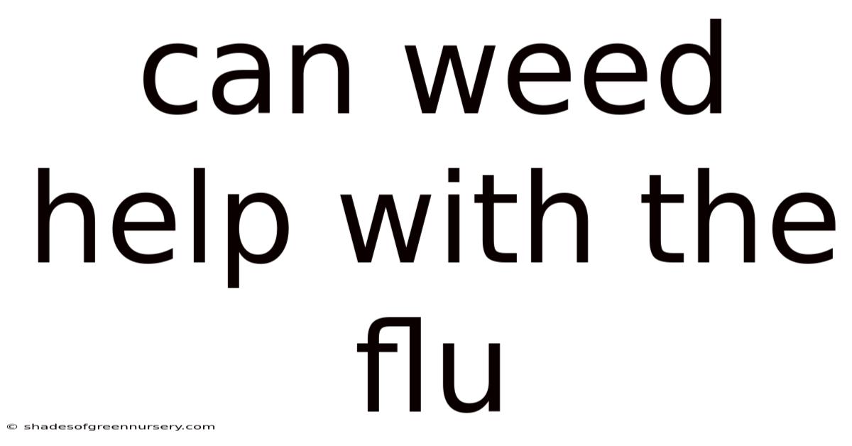 Can Weed Help With The Flu