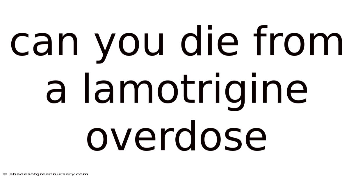 Can You Die From A Lamotrigine Overdose