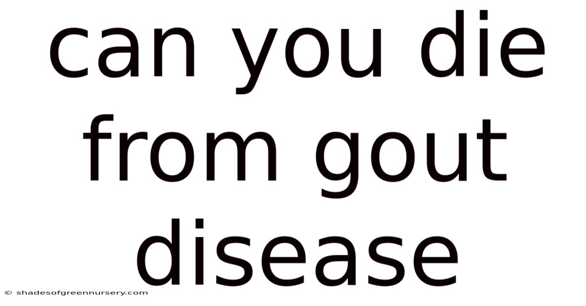 Can You Die From Gout Disease