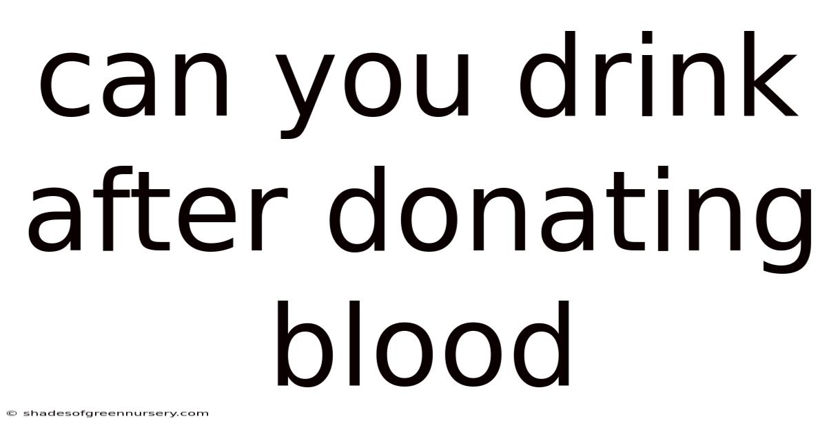 Can You Drink After Donating Blood