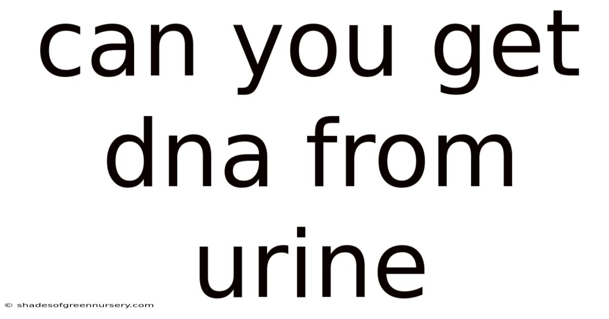 Can You Get Dna From Urine