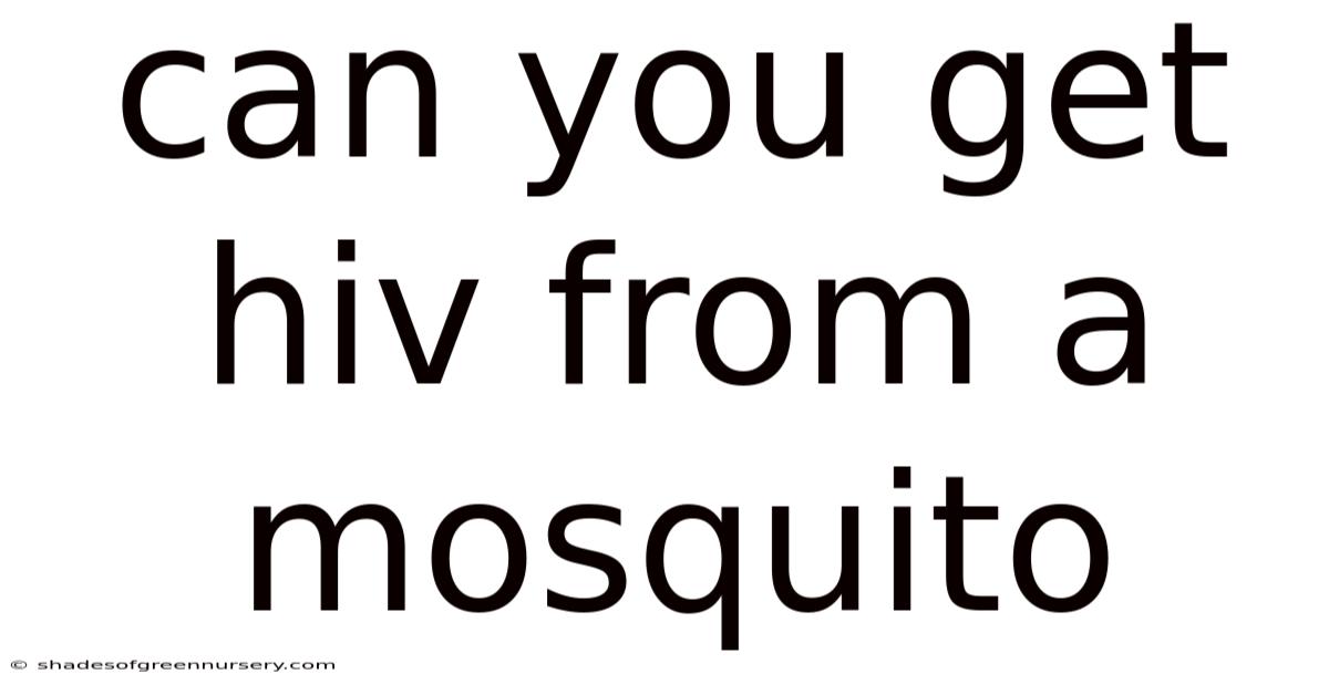 Can You Get Hiv From A Mosquito