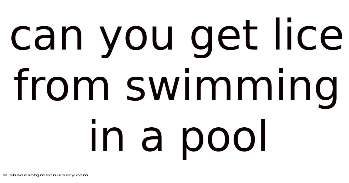 Can You Get Lice From Swimming In A Pool