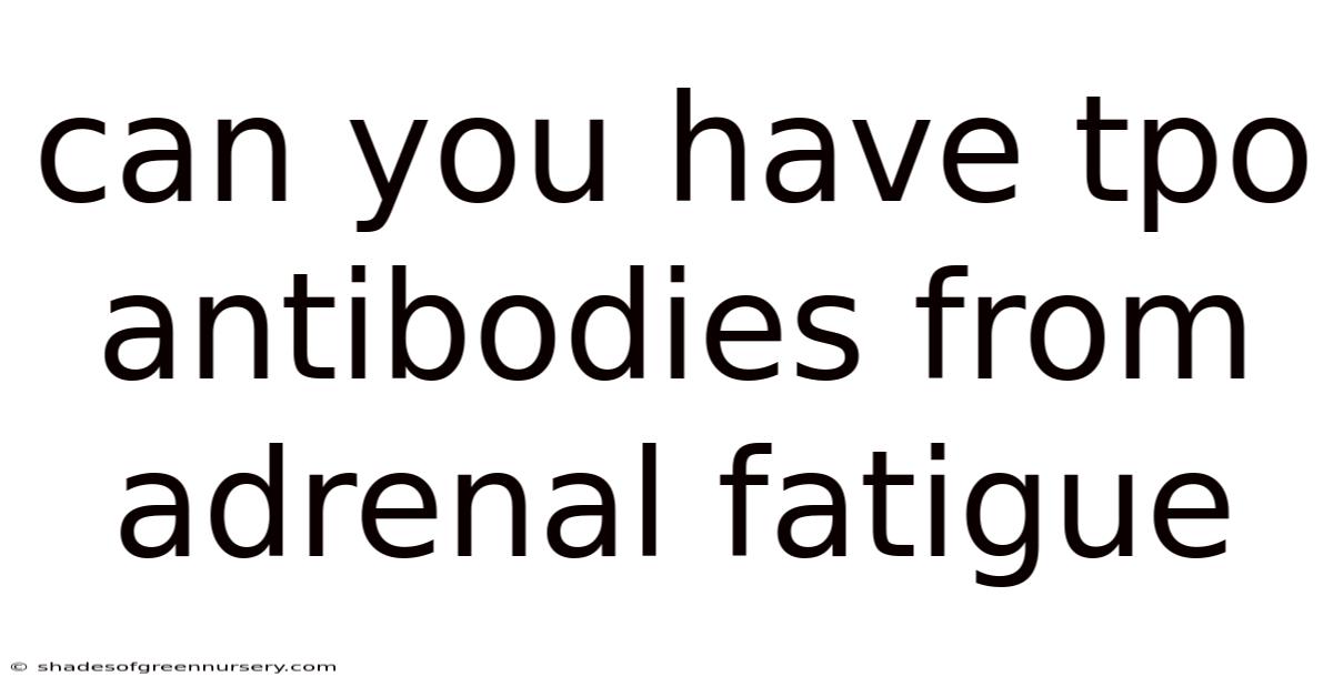 Can You Have Tpo Antibodies From Adrenal Fatigue