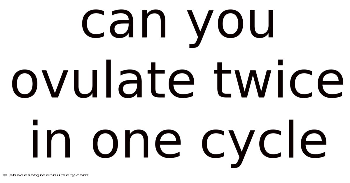 Can You Ovulate Twice In One Cycle