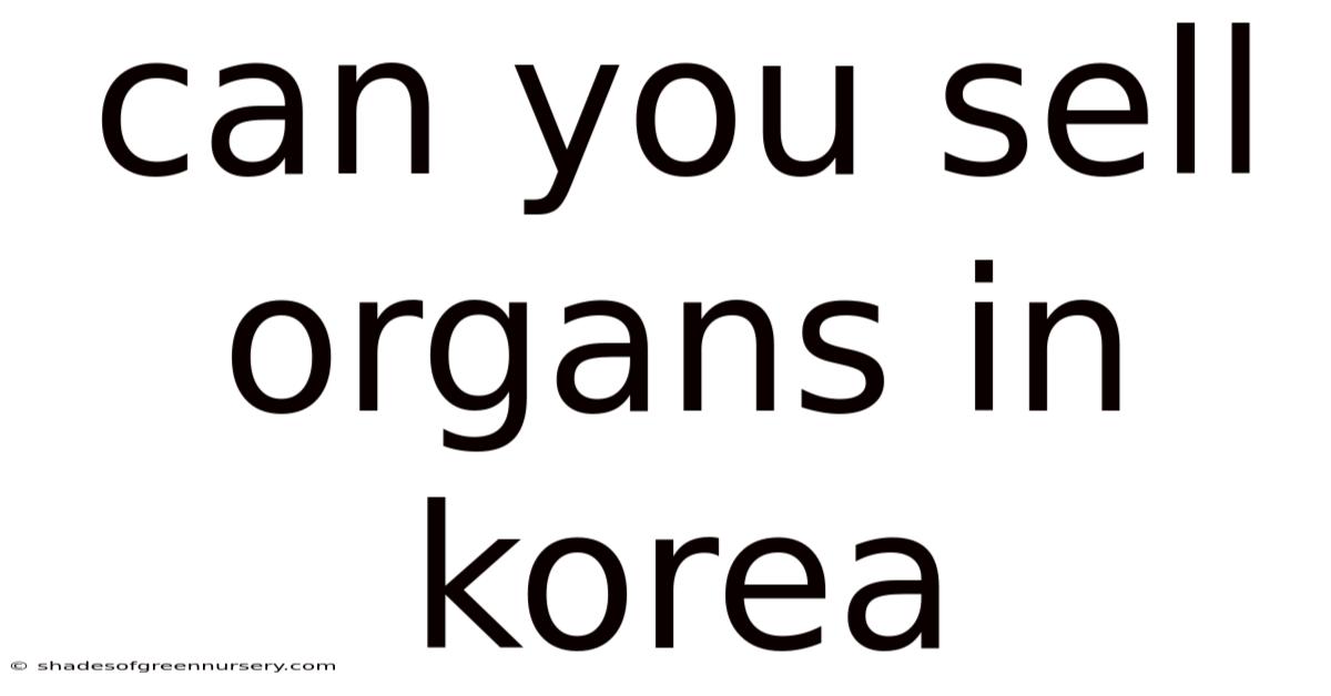 Can You Sell Organs In Korea