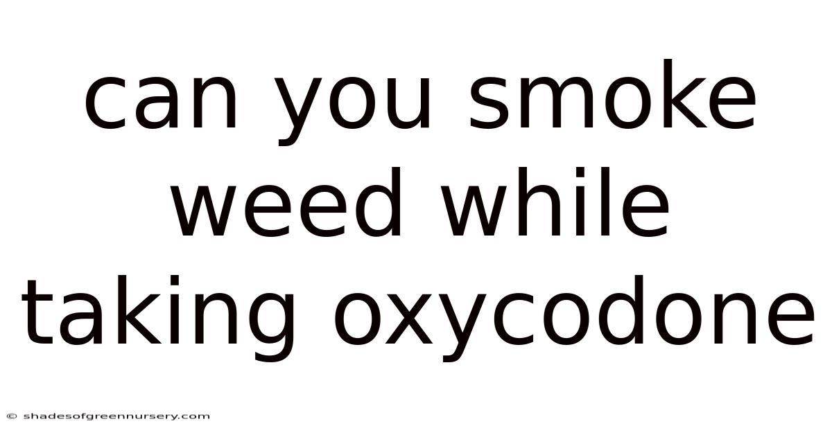 Can You Smoke Weed While Taking Oxycodone