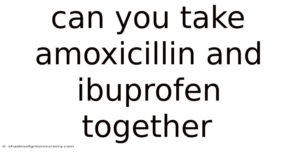Can You Take Amoxicillin And Ibuprofen Together