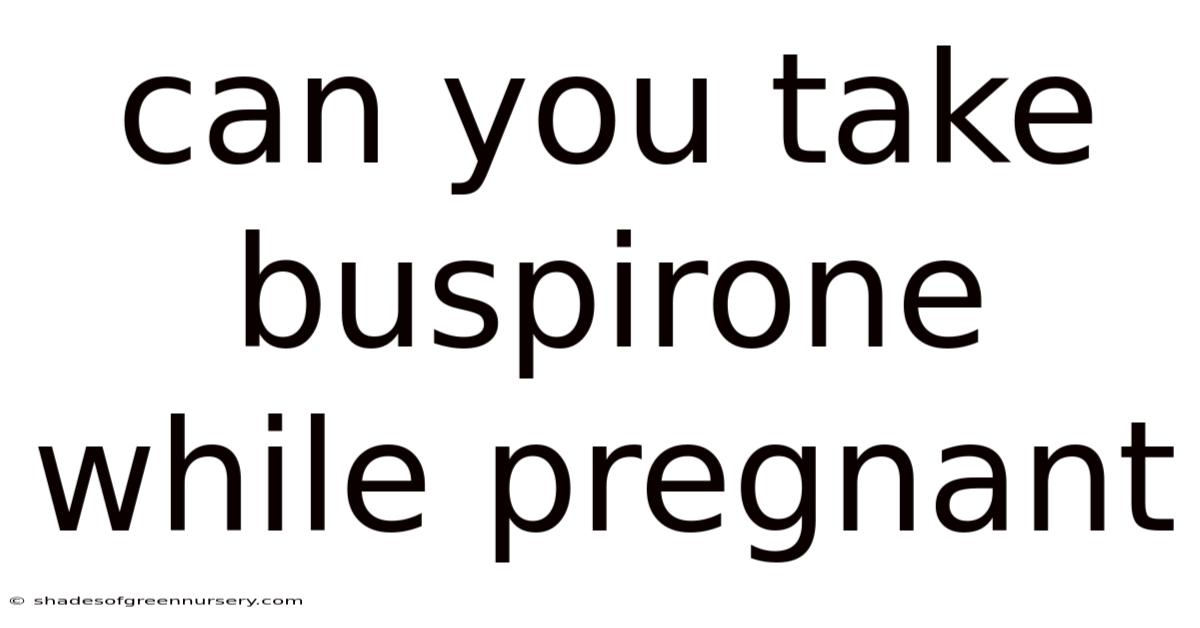 Can You Take Buspirone While Pregnant