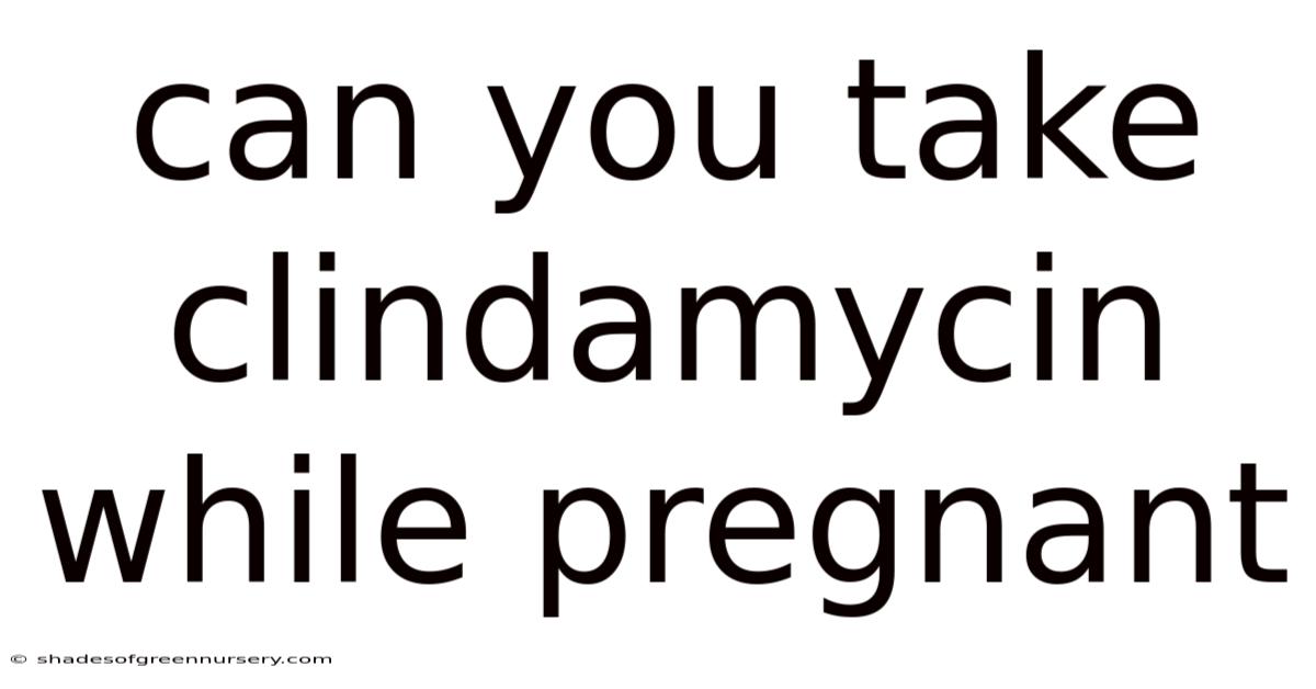 Can You Take Clindamycin While Pregnant