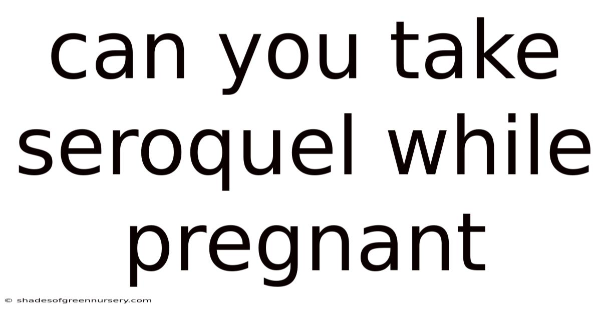 Can You Take Seroquel While Pregnant