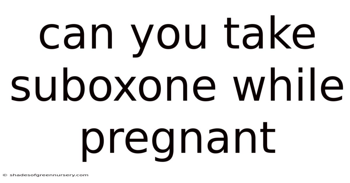 Can You Take Suboxone While Pregnant