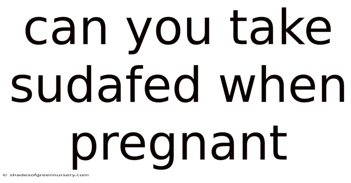 Can You Take Sudafed When Pregnant