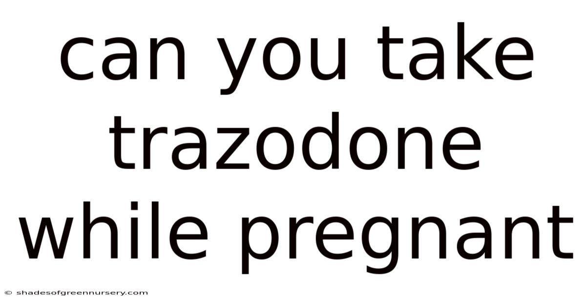 Can You Take Trazodone While Pregnant