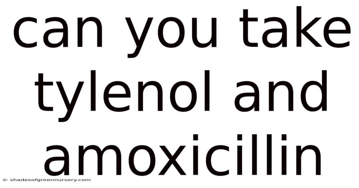 Can You Take Tylenol And Amoxicillin