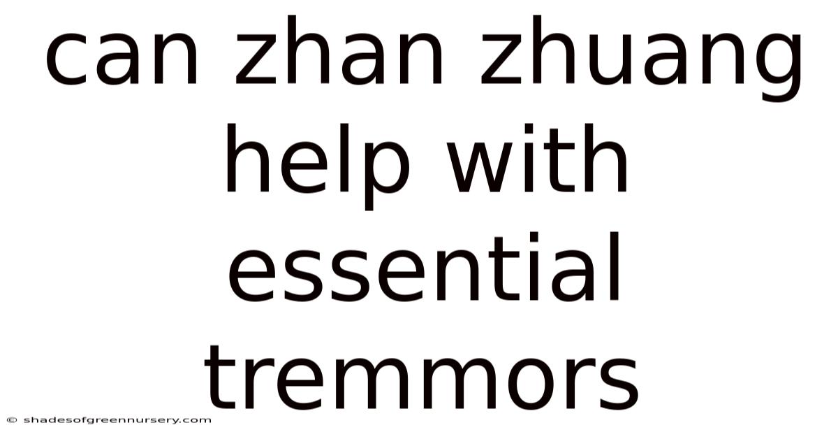 Can Zhan Zhuang Help With Essential Tremmors
