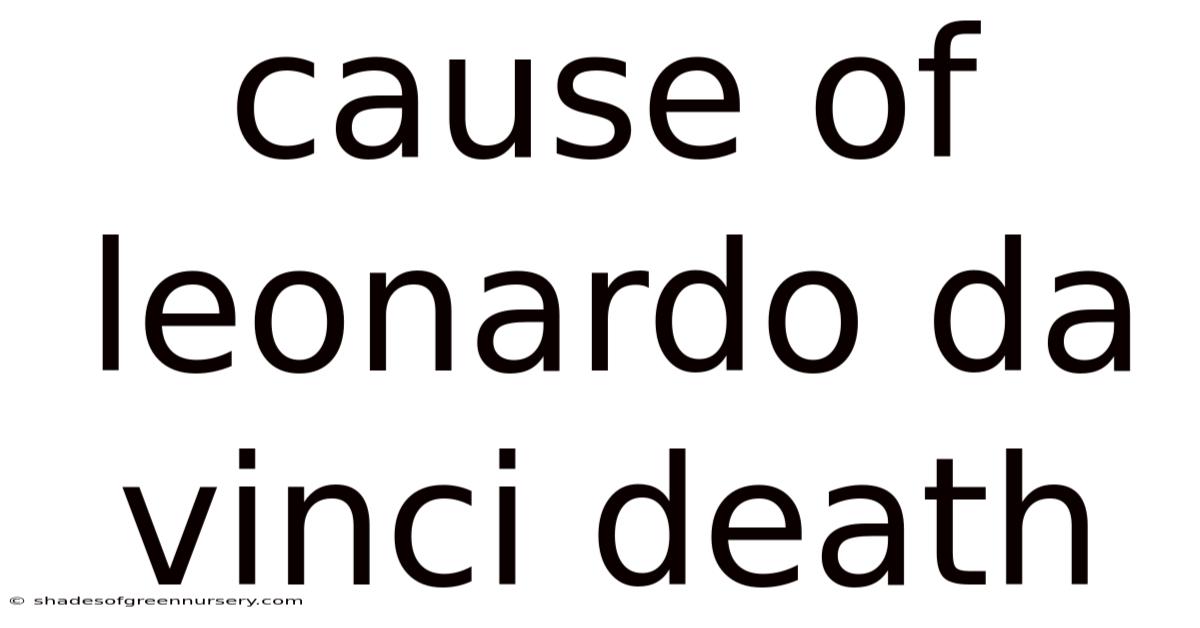 Cause Of Leonardo Da Vinci Death