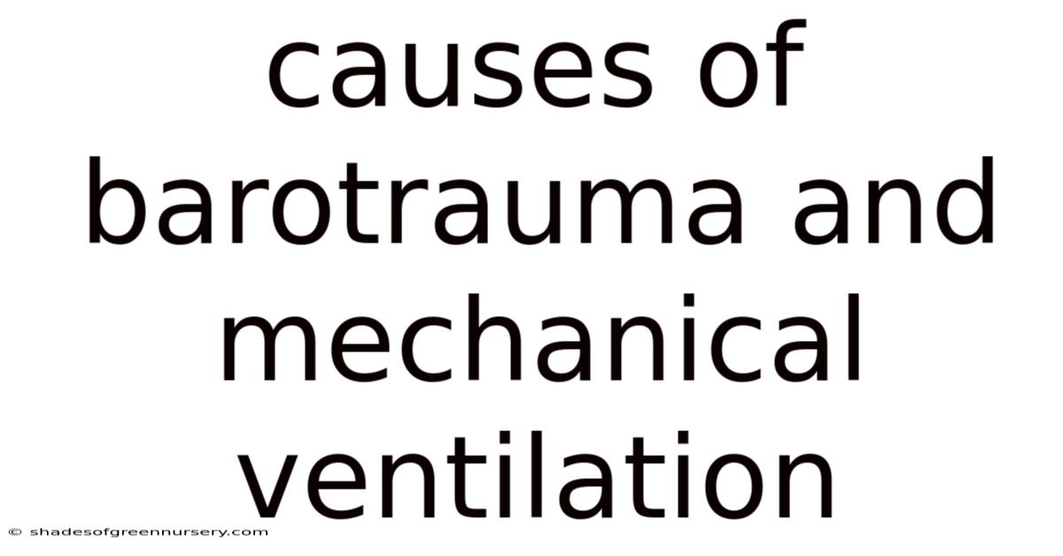 Causes Of Barotrauma And Mechanical Ventilation
