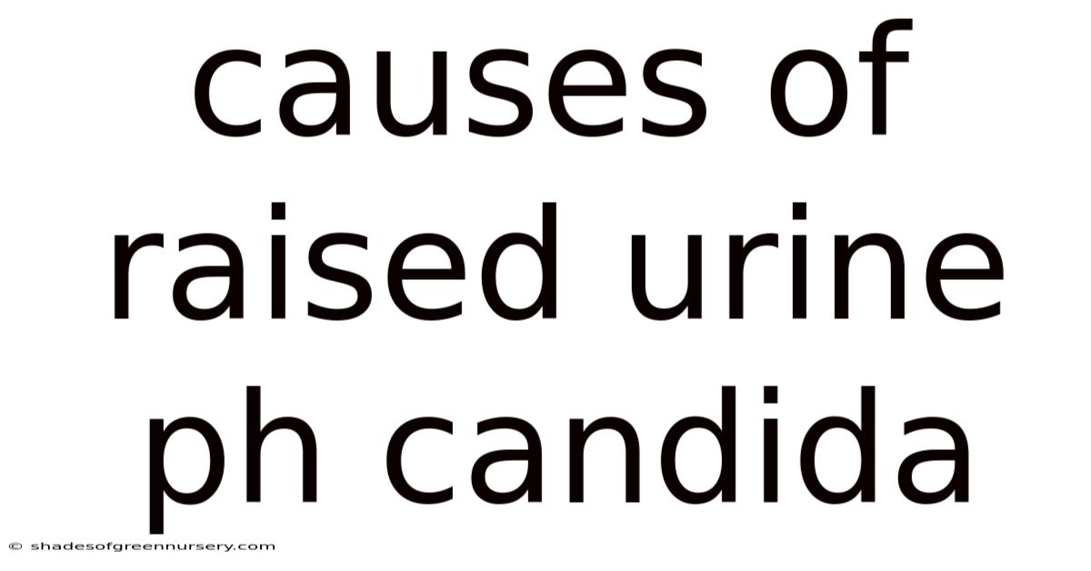 Causes Of Raised Urine Ph Candida