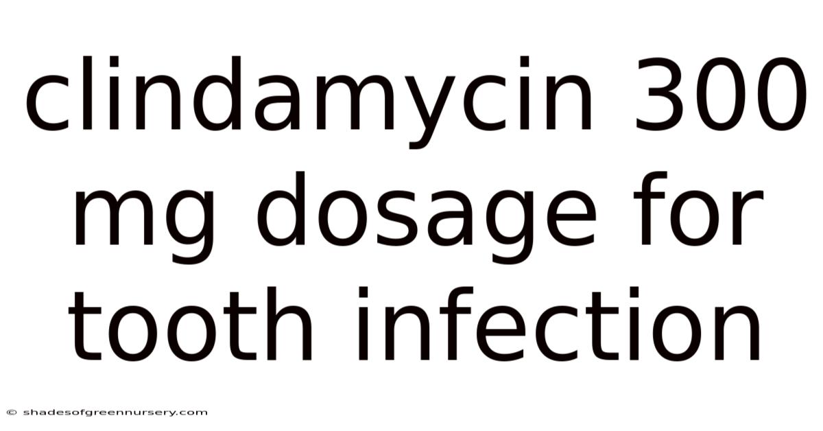 Clindamycin 300 Mg Dosage For Tooth Infection
