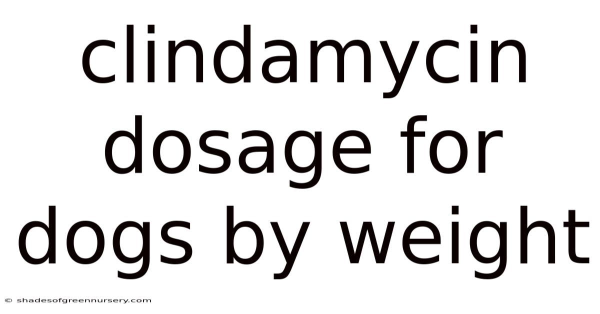 Clindamycin Dosage For Dogs By Weight