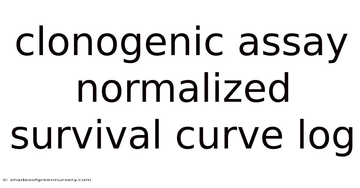 Clonogenic Assay Normalized Survival Curve Log