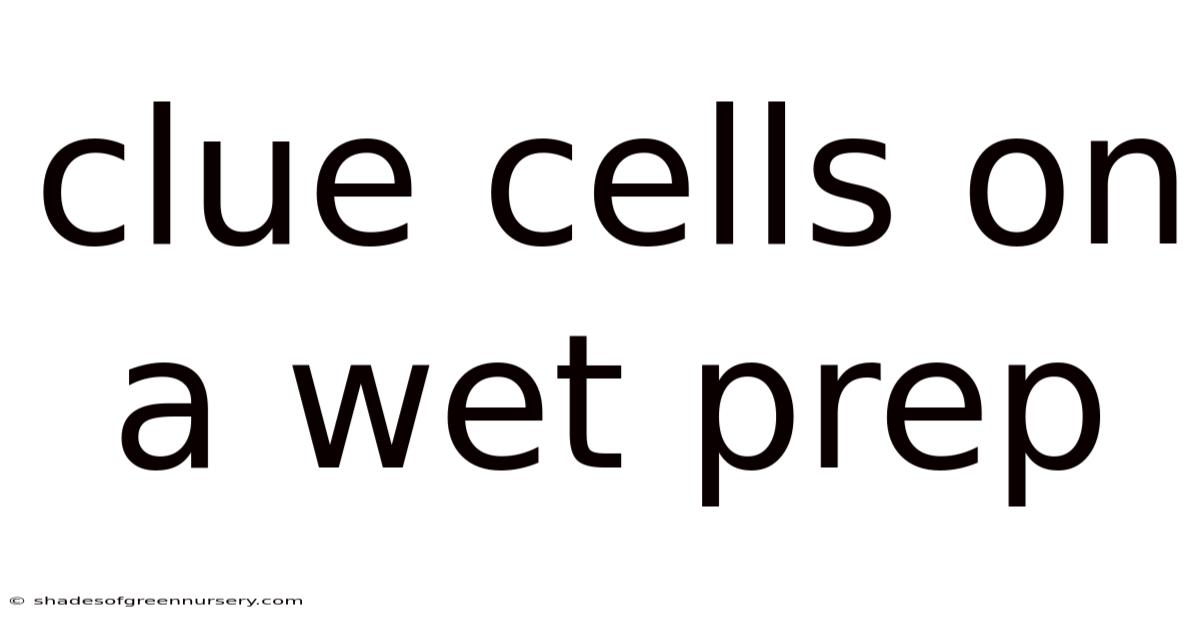 Clue Cells On A Wet Prep