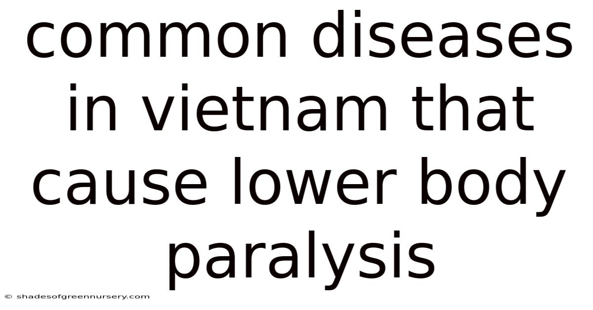Common Diseases In Vietnam That Cause Lower Body Paralysis