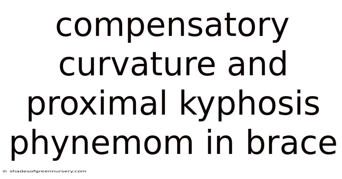 Compensatory Curvature And Proximal Kyphosis Phynemom In Brace