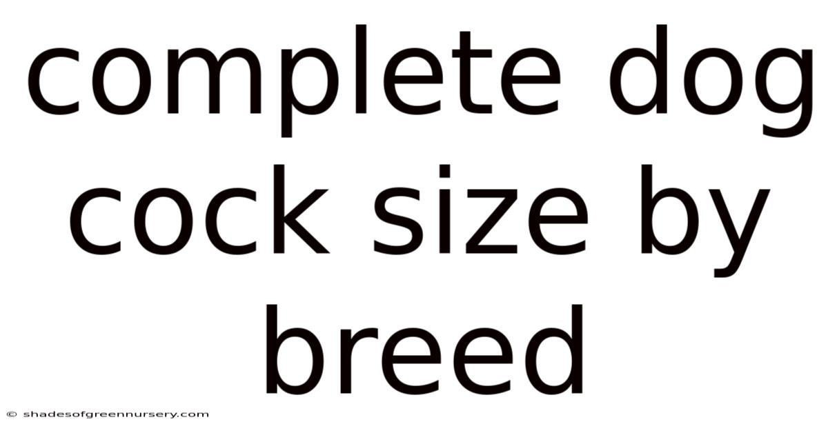 Complete Dog Cock Size By Breed