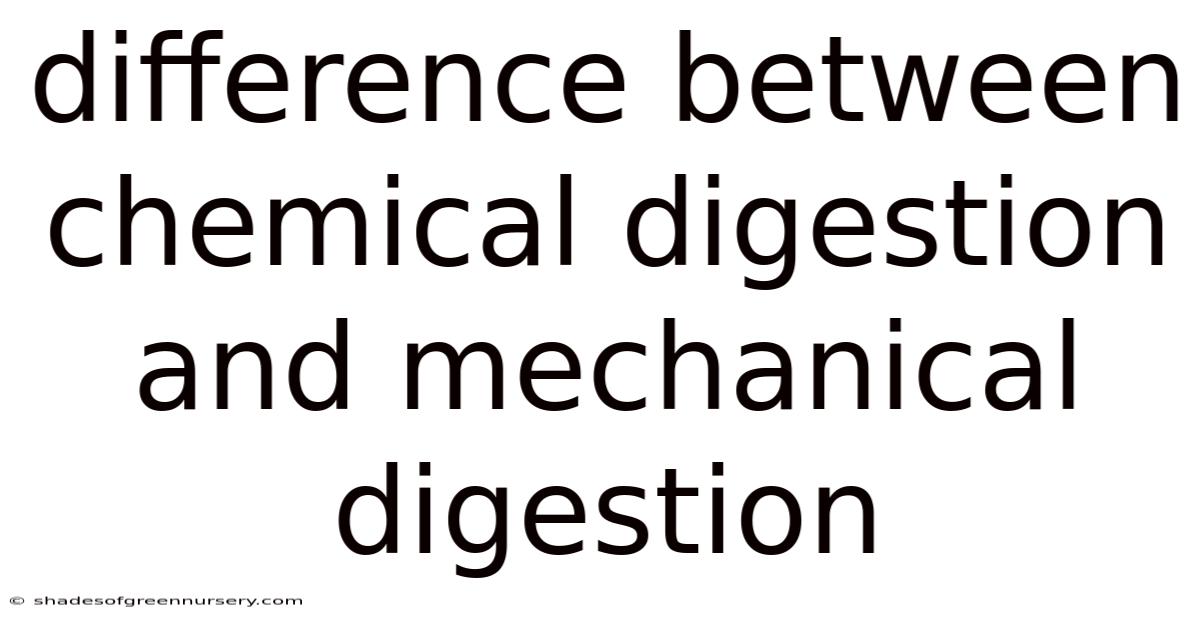 Difference Between Chemical Digestion And Mechanical Digestion