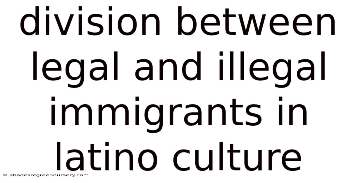 Division Between Legal And Illegal Immigrants In Latino Culture