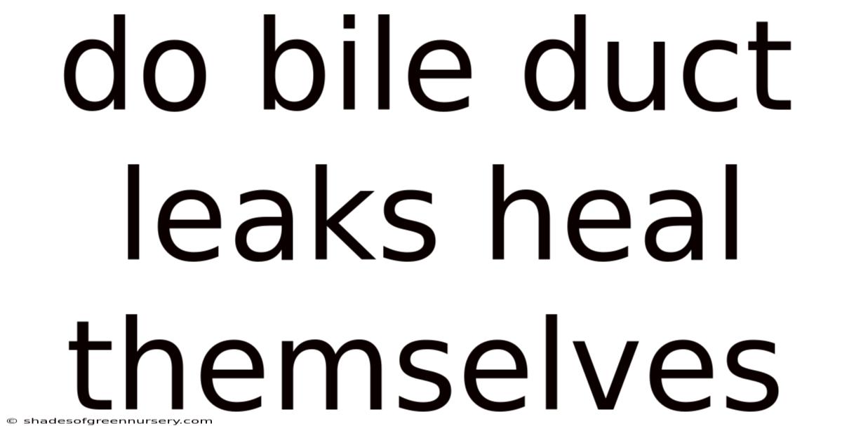 Do Bile Duct Leaks Heal Themselves