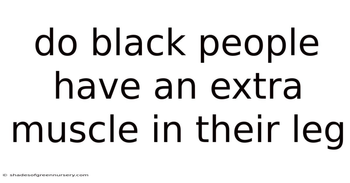 Do Black People Have An Extra Muscle In Their Leg