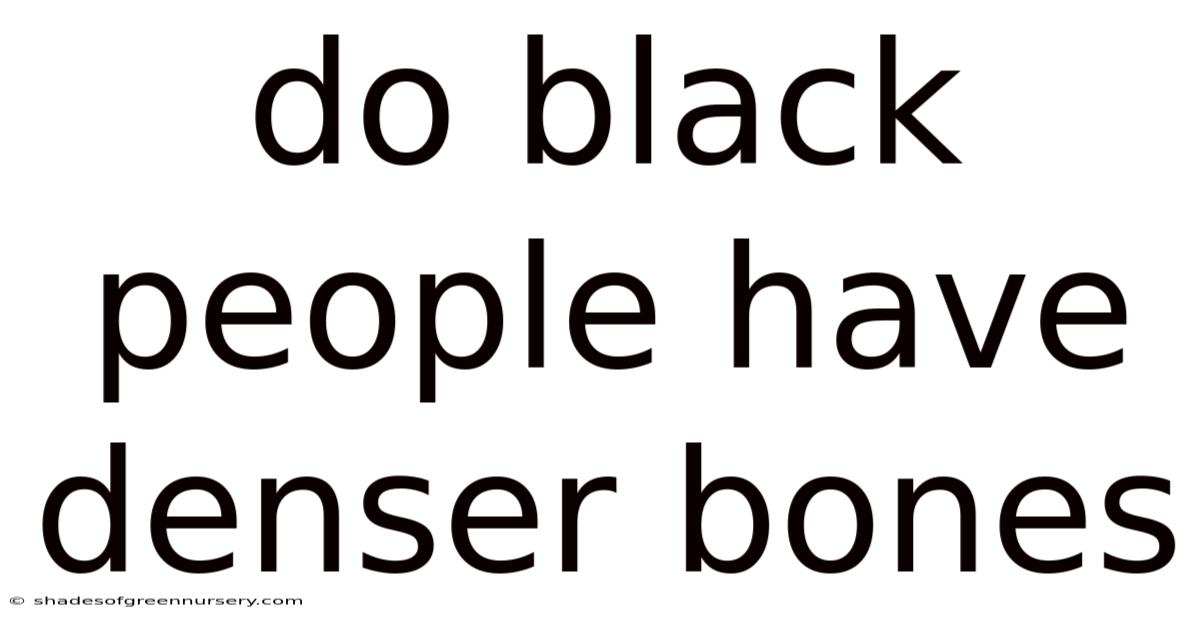 Do Black People Have Denser Bones