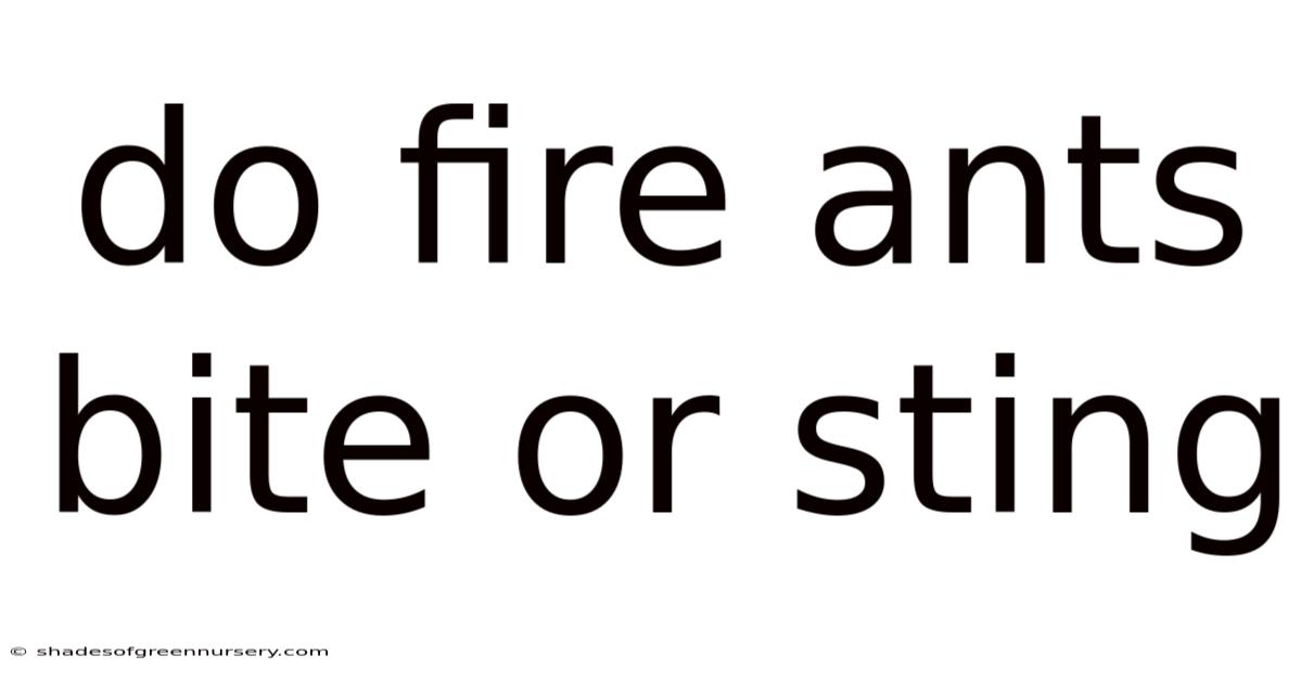 Do Fire Ants Bite Or Sting