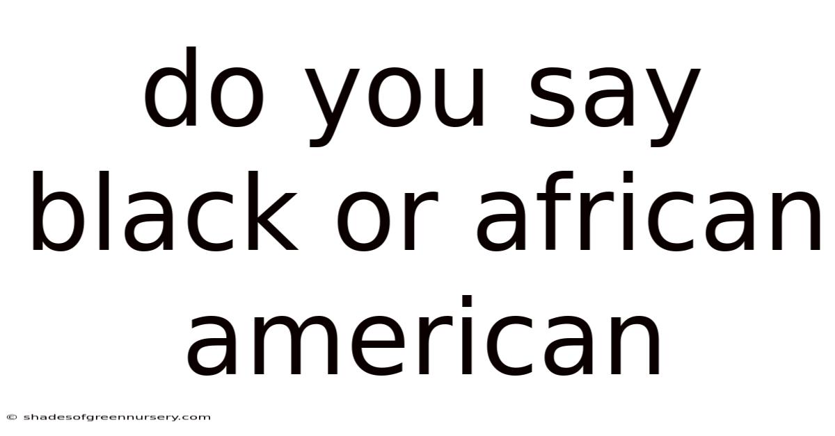 Do You Say Black Or African American