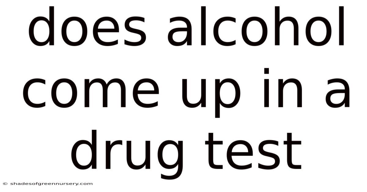 Does Alcohol Come Up In A Drug Test