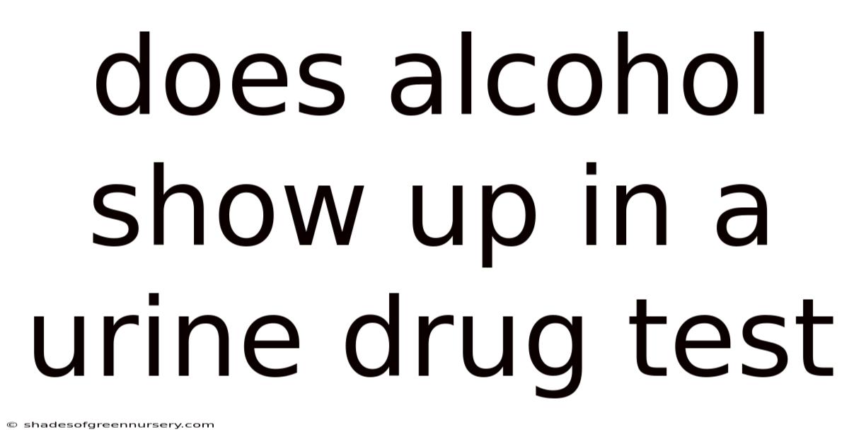 Does Alcohol Show Up In A Urine Drug Test