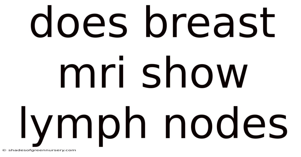 Does Breast Mri Show Lymph Nodes