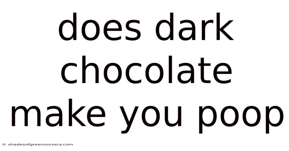 Does Dark Chocolate Make You Poop