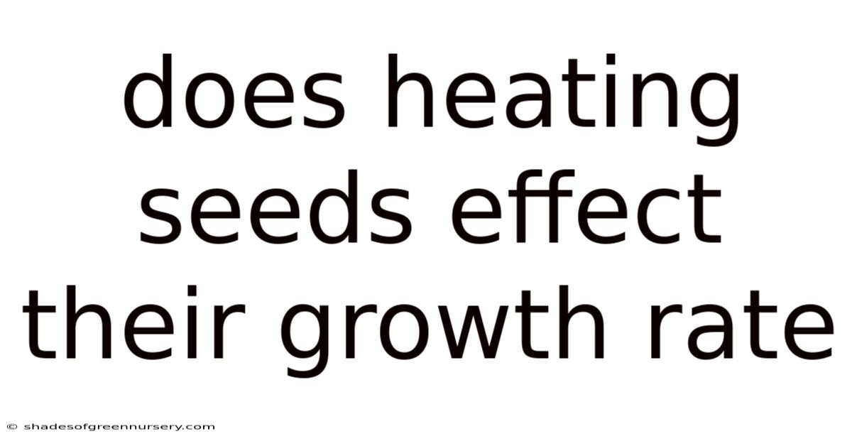 Does Heating Seeds Effect Their Growth Rate