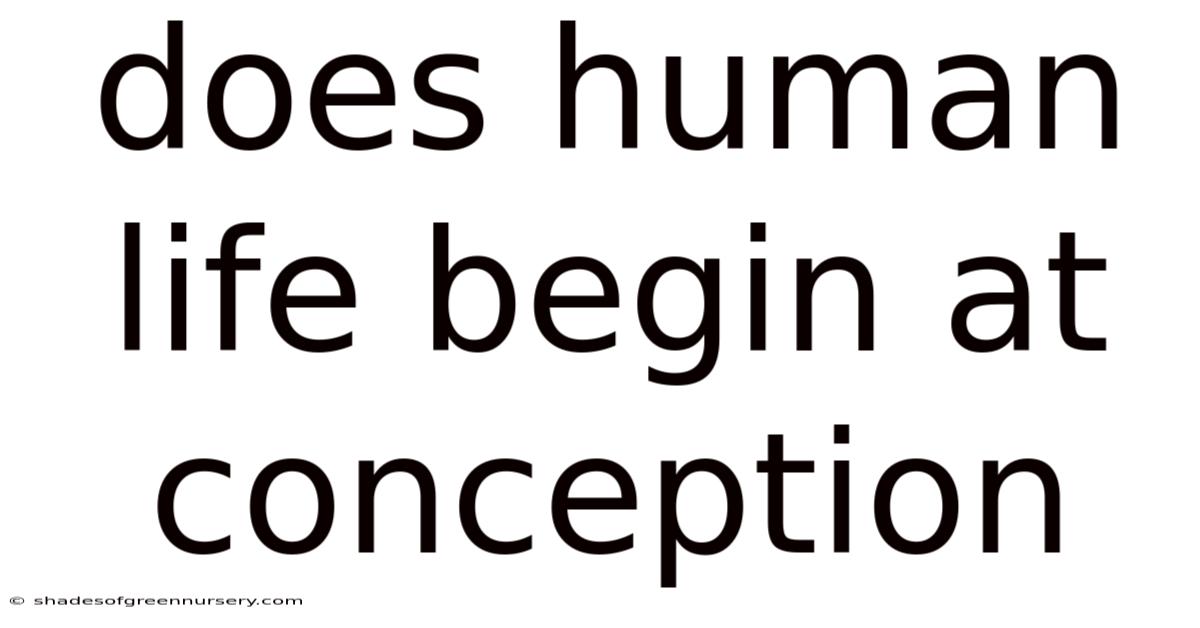 Does Human Life Begin At Conception