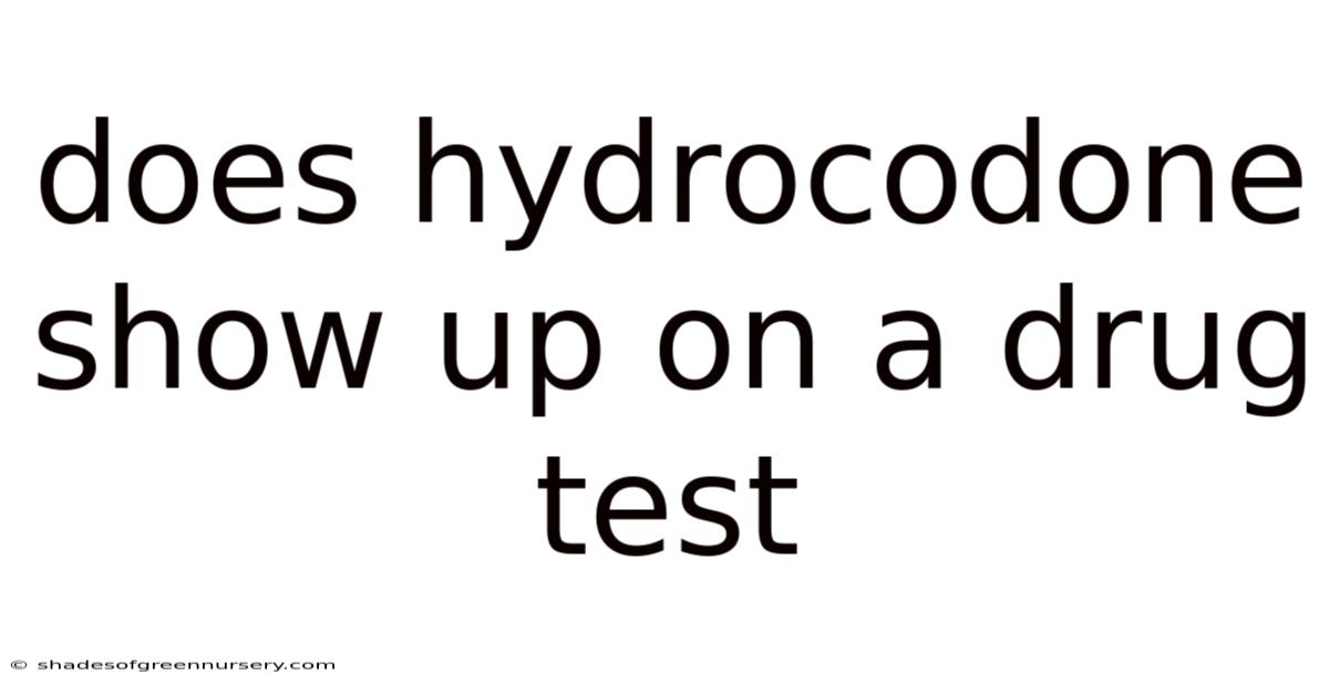 Does Hydrocodone Show Up On A Drug Test