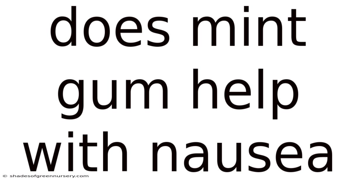 Does Mint Gum Help With Nausea