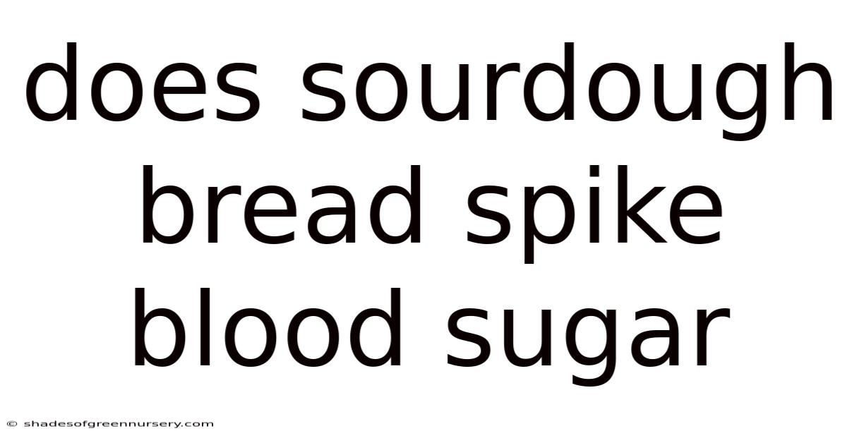 Does Sourdough Bread Spike Blood Sugar