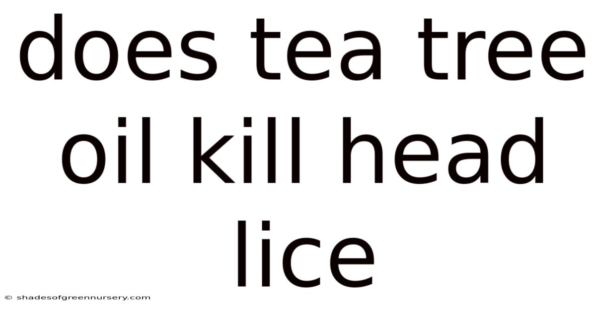 Does Tea Tree Oil Kill Head Lice