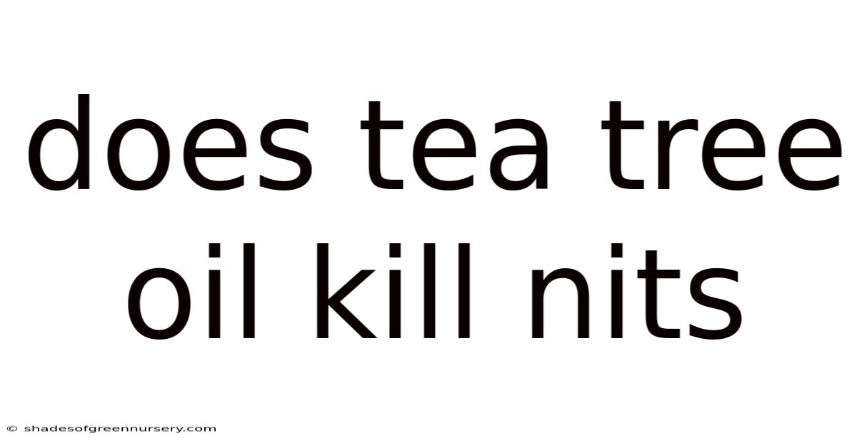 Does Tea Tree Oil Kill Nits